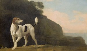 フォックスハウンド、1760年頃（板に敷いた紙に油彩） 作： George Stubbs